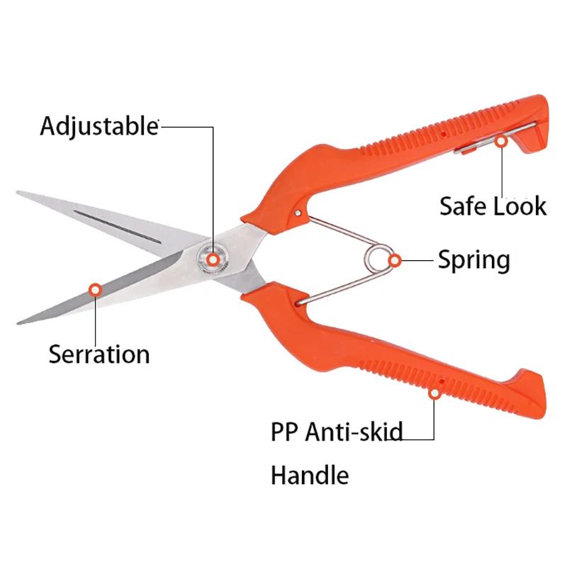 Grape Scissors Pruning Shears  - Furniture Joining Hardware ulasan dan harga