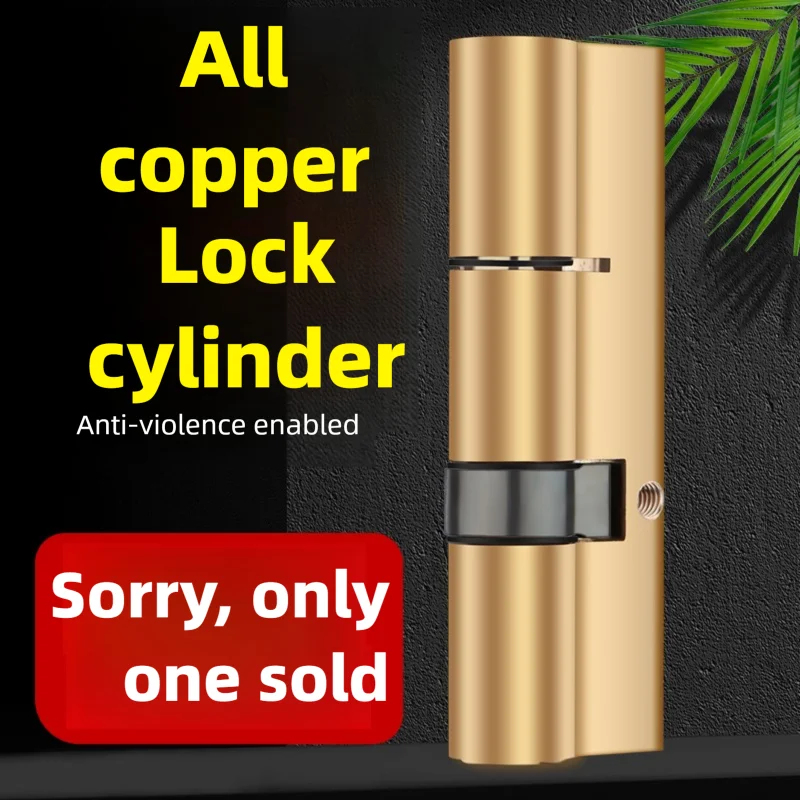 Household Entry Door Anti-Thef - Furniture Hardware Fitting ulasan dan harga